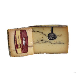 Guerra de Paz - Trufa